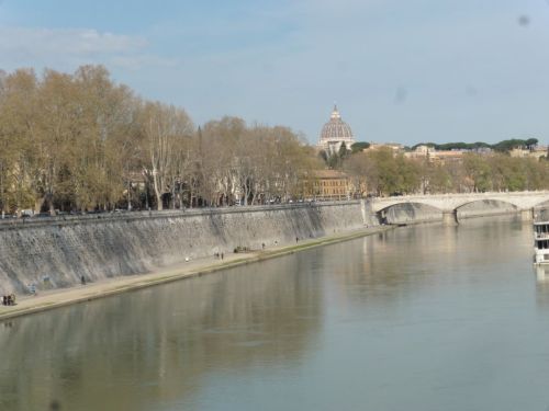 Tibre vue sur la basilique Saint Pierre.JPG